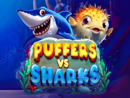 Puffers Vs Sharks เดโม