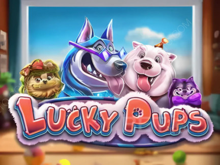 Lucky Pups เดโม