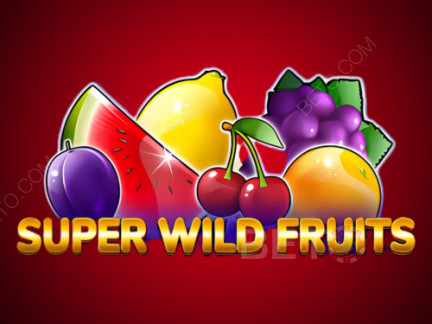 Super Wild Fruits เดโม