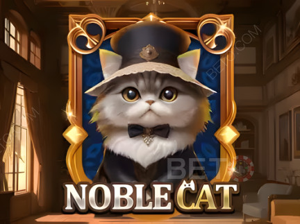 Noble Cat เดโม