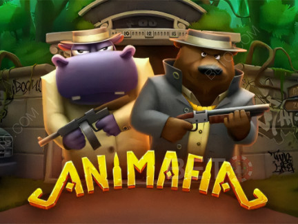 Animafia เดโม