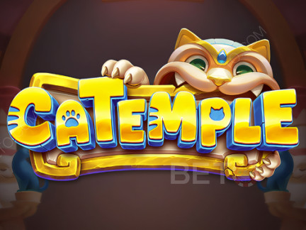 Catemple เดโม