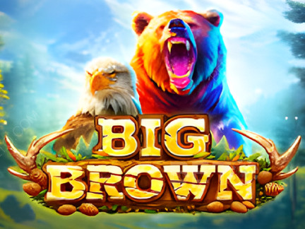 Big Brown เดโม