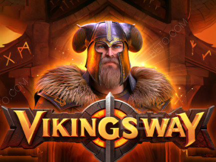 Vikings Way เดโม