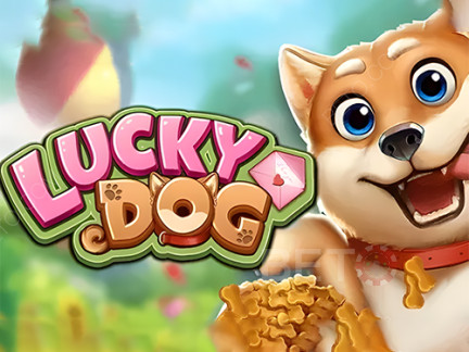 Lucky Dog เดโม