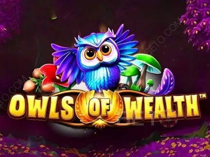 Owls of Wealth เดโม