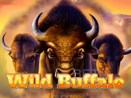 Wild Buffalo เดโม