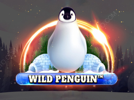 Wild Penguin เดโม