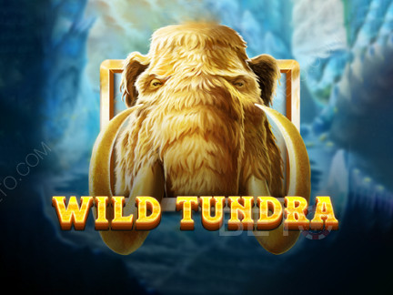Wild Tundra เดโม