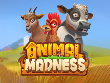 Animal Madness เดโม