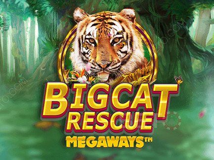 Big Cat Rescue Megaways เดโม