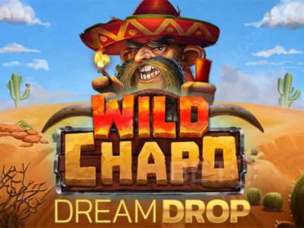Wild Chapo Dream Drop เดโม